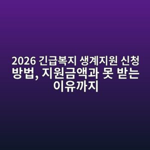 2026 긴급복지 생계지원 신청 방법, 지원금액과 못 받는 이유까지 2 2026 eab8b4eab889ebb3b5eca780 ec839deab384eca780ec9b90 ec8ba0ecb2ad ebb0a9ebb295 eca780ec9b90eab888ec95a1eab3bc ebaabb ebb09beb8a94 1793165981