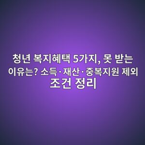 청년 복지혜택 5가지, 못 받는 이유는? 소득·재산·중복지원 제외 조건 정리 2 ecb2adeb8584 ebb3b5eca780ed989ced839d 5eab080eca780 ebaabb ebb09beb8a94 ec9db4ec9ca0eb8a94 ec868ceb939dc2b7ec9eacec82b0c2b7eca491 1793163107